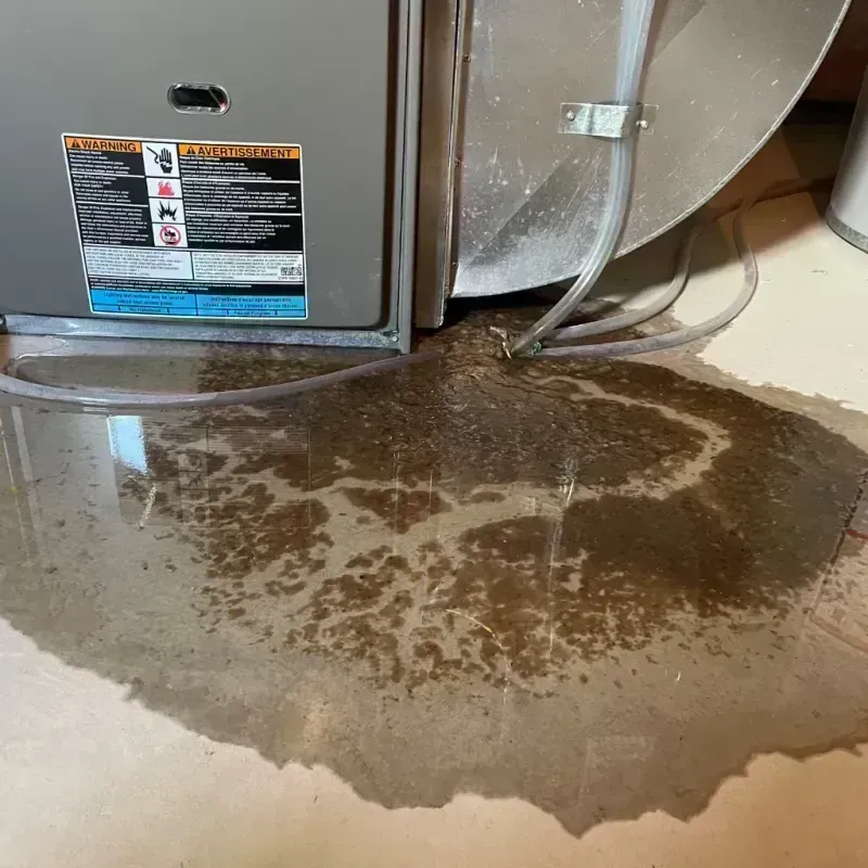 Appliance Leak Cleanup in Ringgold County, IA